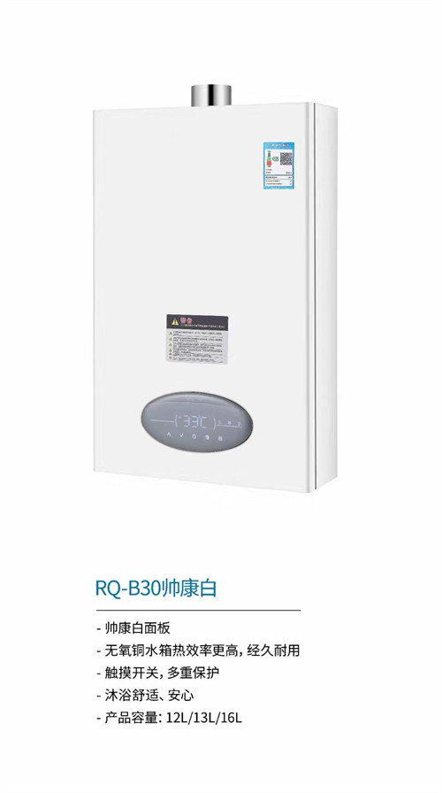 國內灶燃氣,熱水器,煙機,電熱水器,消毒柜,環保灶,億翔龍集團,國內廚具,廚房用品,帥運來,智榮好太太