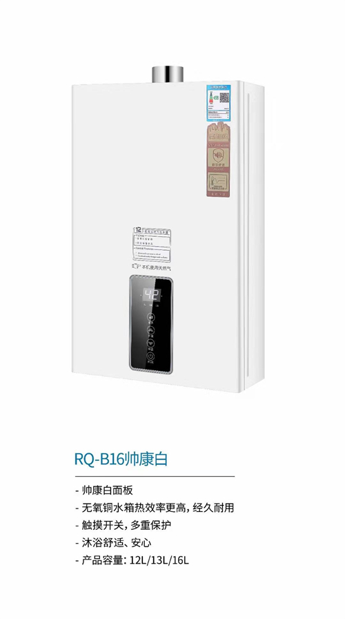國內灶燃氣,熱水器,煙機,電熱水器,消毒柜,環保灶,億翔龍集團,國內廚具,廚房用品,帥運來,智榮好太太